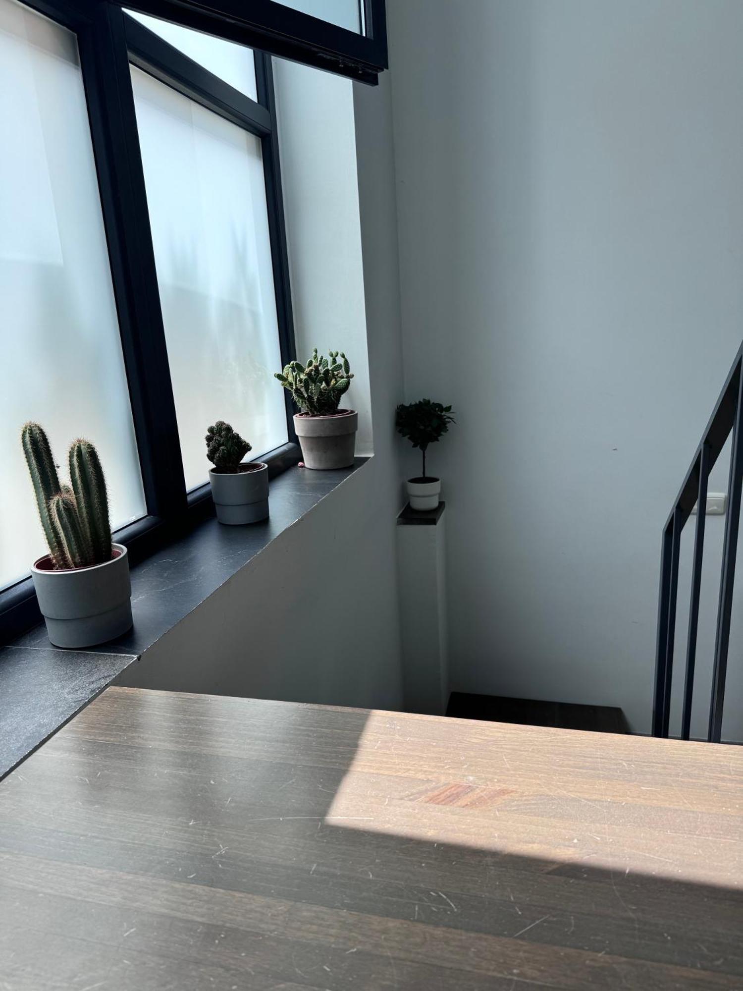 Apartament Sumaloft Prensa Malaga Zewnętrze zdjęcie